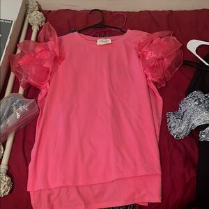 Zara Pink Blouse with Puff Sleeves